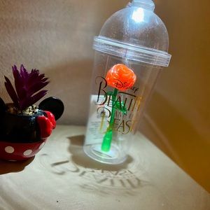 Disney Beauty and the Beast light up tumbler.